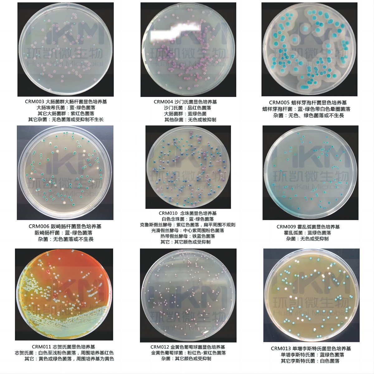 環(huán)凱顯色培養(yǎng)基系列產(chǎn)品詳細(xì)介紹